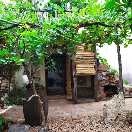 Sa Domu 'Eccia Villa Urzulei Exterior photo