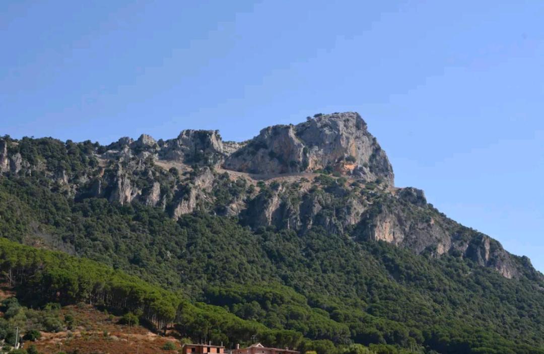 Sa Domu 'eccia
